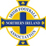 Irish FA logo