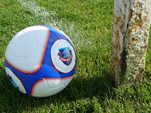 Goal-line technology or grassroots?